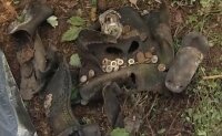 Поисковый отряд ДОСААФ России эксгумировал останки восьми погибших немецких солдат