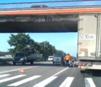 ДТП в Кубинке- сбит пассажир возле пешеходного перехода