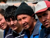 «Нелегальный мигрант» в Одинцовском районе